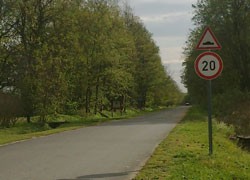 buzsak250.jpg